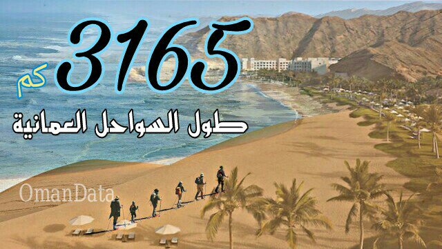 3165 كم طول السوالح العمانية.