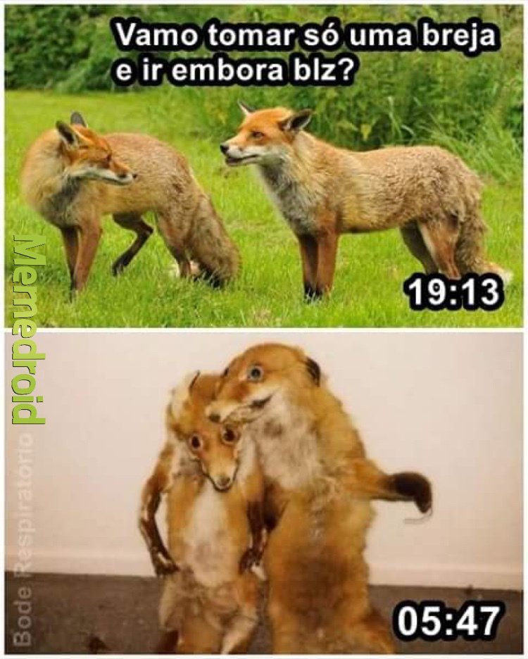 NandoMatos's tweet photo. E o que temos pra hoje? #BetaQuerLab https://t.co/ossR3eV87H