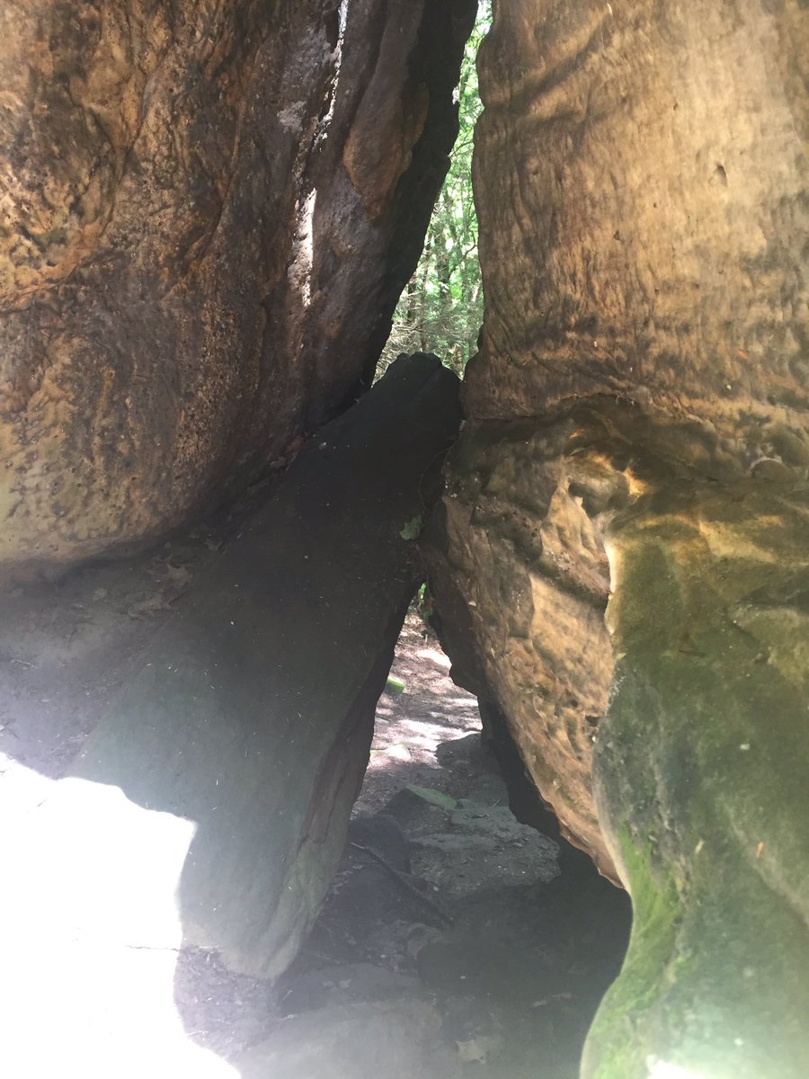 blocht574's tweet image. Exploring Cuyahoga Valley atop all Park with kids! #mschat #summerlearningfun