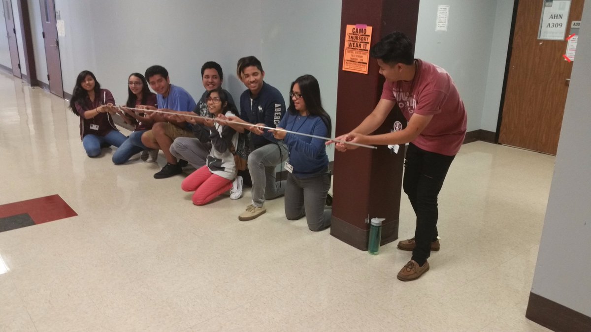 The Woods Project tweet media