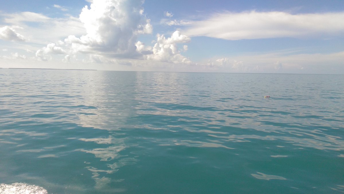 John Slapcinsky tweet media