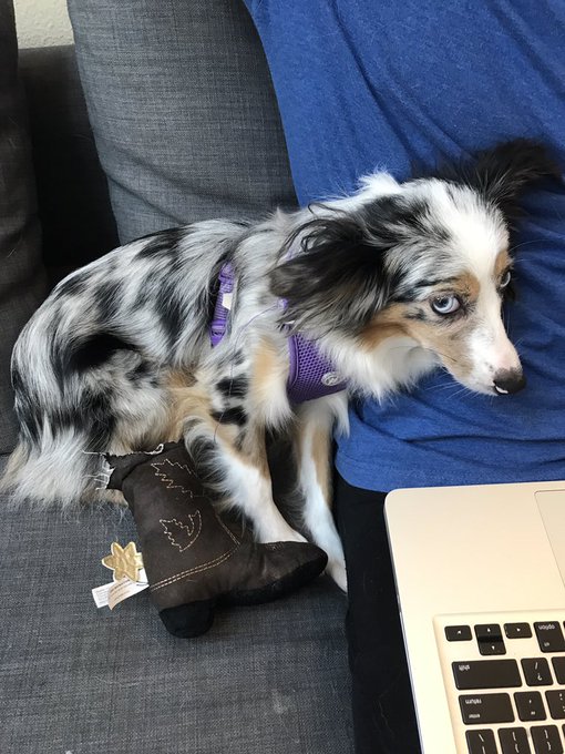 @littlekeish @nigel_dictator  https://t.co/0H4jcSJ8iN<a class="tags" href="/tag/littlekeish">@littlekeish</a><a class="tags" target="_blank" title="On Twitter" href="/?out=eyJ0eXAiOiJKV1QiLCJhbGciOiJIUzUxMiJ9.eyJpYXQiOjE3MjUyMDM1NjAsImlzcyI6InR3cG9ybnN0YXJzLmNvbSIsIm5iZiI6MTcyNTIwMzU2MCwiZXhwIjoxNzU2NzM5NTYwLCJyZWRpcmVjdF91cmwiOiJodHRwczovL3R3aXR0ZXIuY29tL25pZ2VsX2RpY3RhdG9yIn0.7nYGes9QlhFa3DX37CAzMMdxwLaLUWVL8muFgl4L8TrSt1FO0OQ-APHNuZoEw4ur-LcjL1VUQLw6BjohgwzwAQ">@nigel_dictator</a><a href="/tag/fan"class="tags"><span>#fan</span></a>