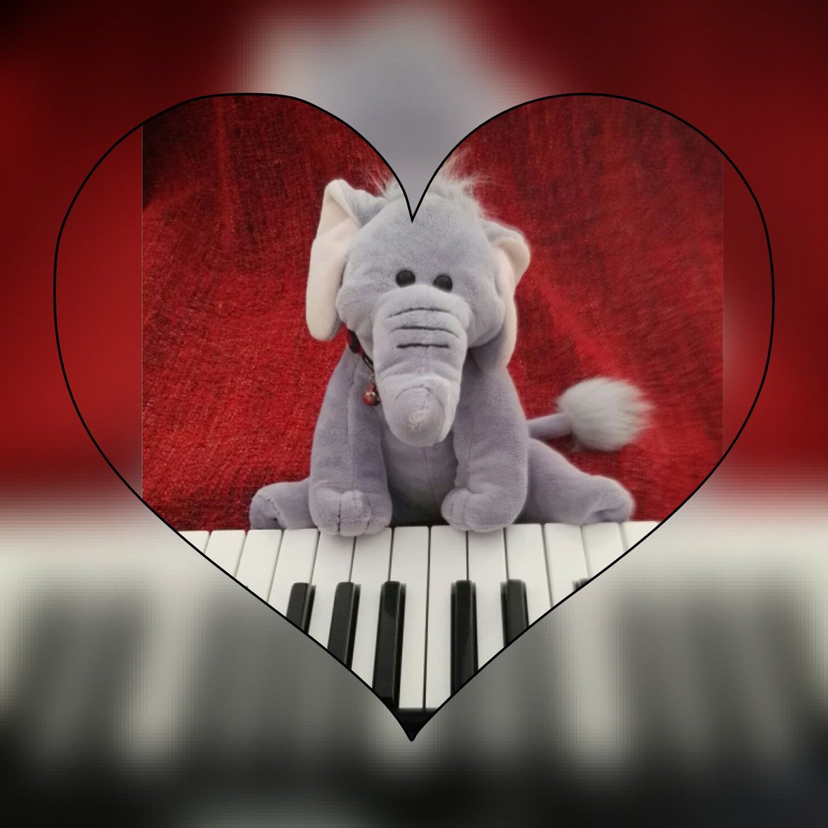 _MissWillow_'s tweet photo. Net ontdekt dat Wolaert kan pianospelen! Hij mocht er eens op tokkelen... Ik viel begot van mijne stoel!
#WillowenWolaert
#teamdoubleU https://t.co/ipg1kXtke1