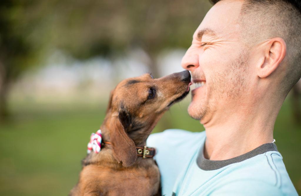 Zappos's tweet image. Hey Denver! We’re covering pet fees for approved adopters TODAY at select locations! zps.to/fouf17t #ZapposForPets #GetYourRescueOn