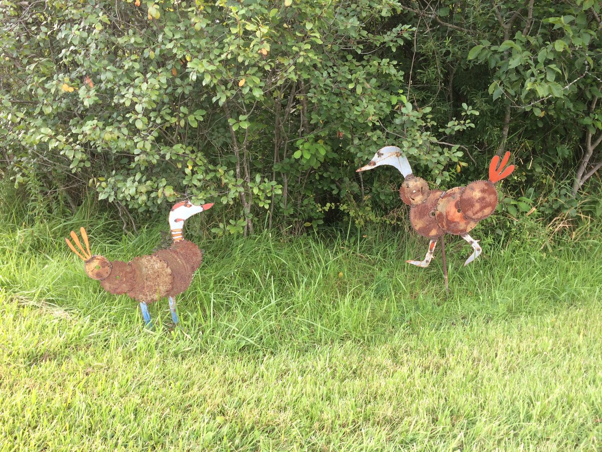A pair of unlikely hazards lurking near the roads and tracks course at the #Oakhurst3DE long format event 🍁 #eventing #equestrian #horse