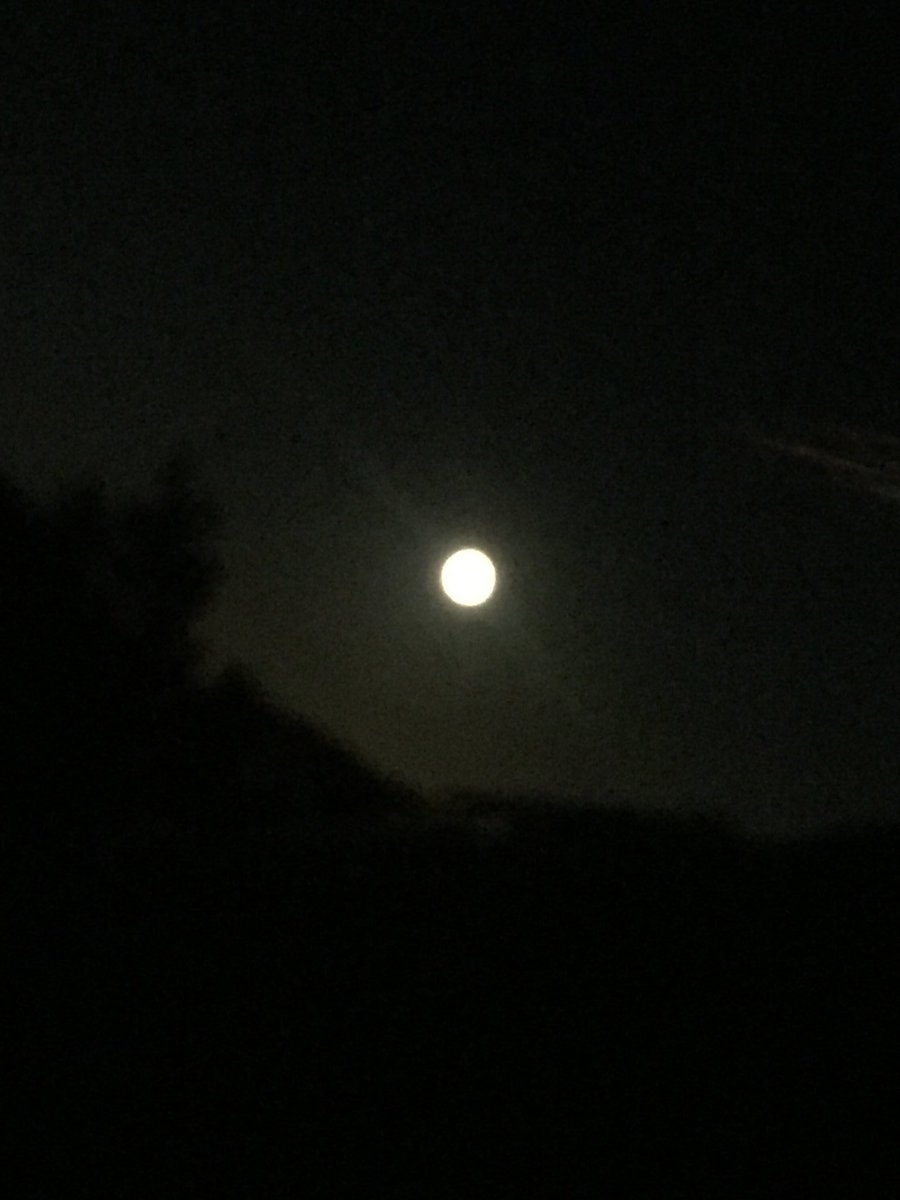 JOHNPLAYER316@gmail. tweet media