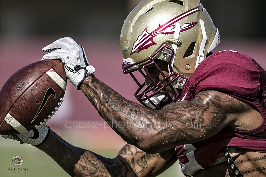 stevechase714's tweet photo. 7 more days until @FSUAlumni's 66th annual Kickoff Luncheon @SarasotaNoles @ATLSeminoleClub @tampanoles #FallCamp17 https://t.co/szrk0ZAD4D