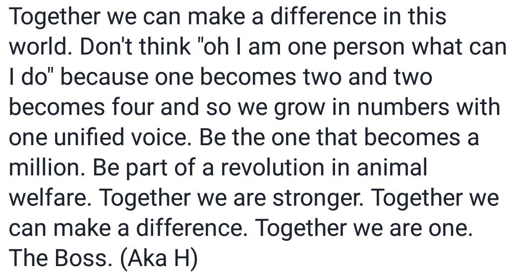 Sir Harry The Dog in the Red Boot (@spanielharry) on Twitter photo Message fwom de boss. If yoo can read picfur peese let us know. Message fwom de boss. If yoo can read picfur peese let us know.