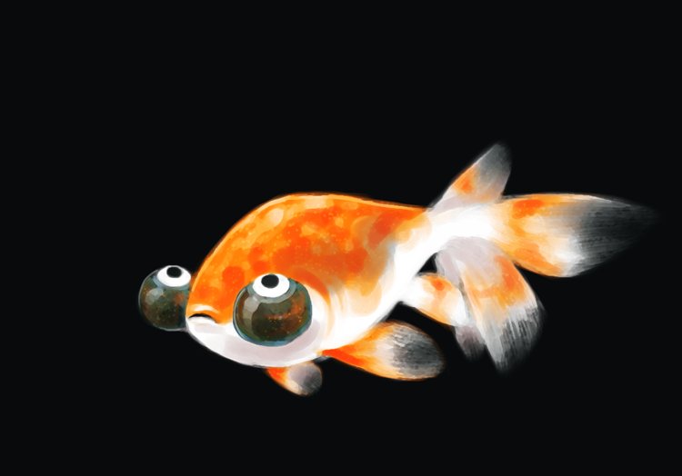 #Goldfish. 