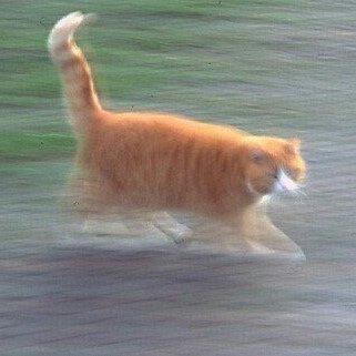 smalltenimal's tweet photo. https://t.co/AlLvm8hrwR