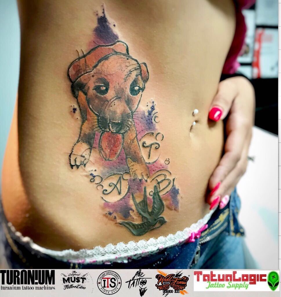 AlleTattoo's tweet photo. #tattoo #alletattoo #eSeMiTatuassi #cane #tatuaggio #watercolor #avantgarde #pet #dog #meticcio #dogtraining #petoftheday #instape #doglife https://t.co/9QmUUk4k05