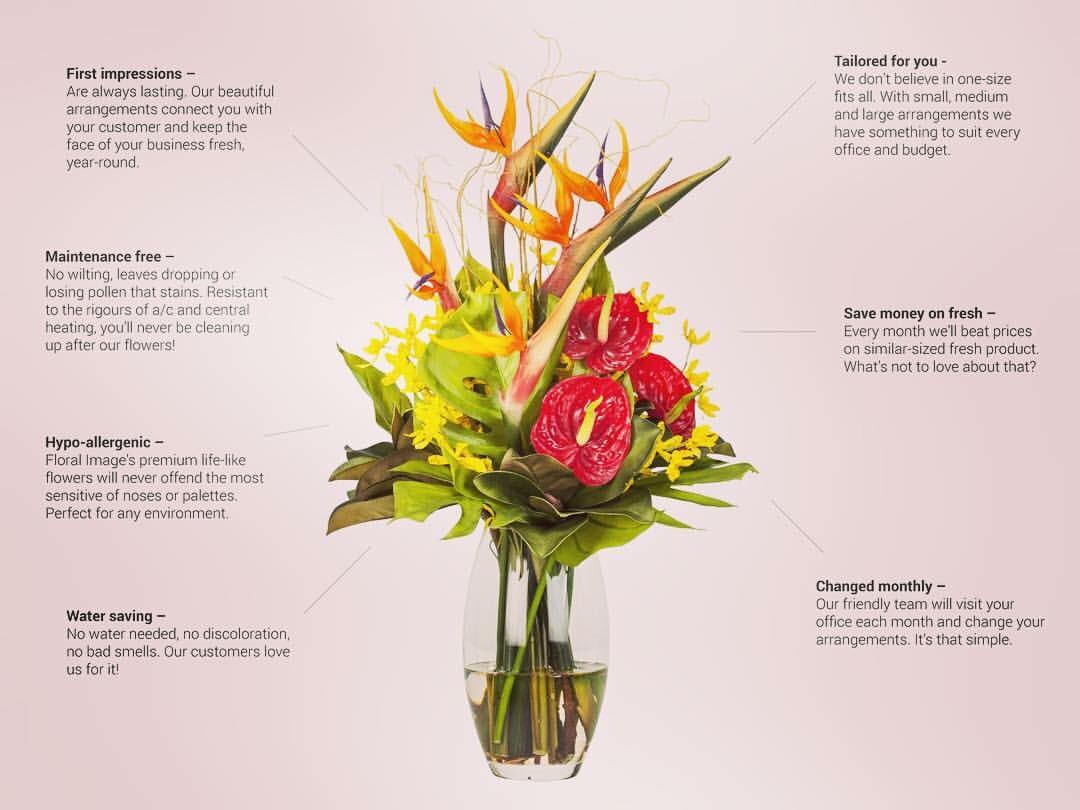Floralimagedub's tweet photo. All the many reasons to choose Floral Image as your flower supplier ✅ #flowers #lifelike https://t.co/iU0A4zxNCL