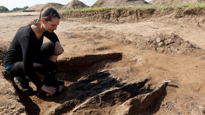 Преглед на изображението в Twitter