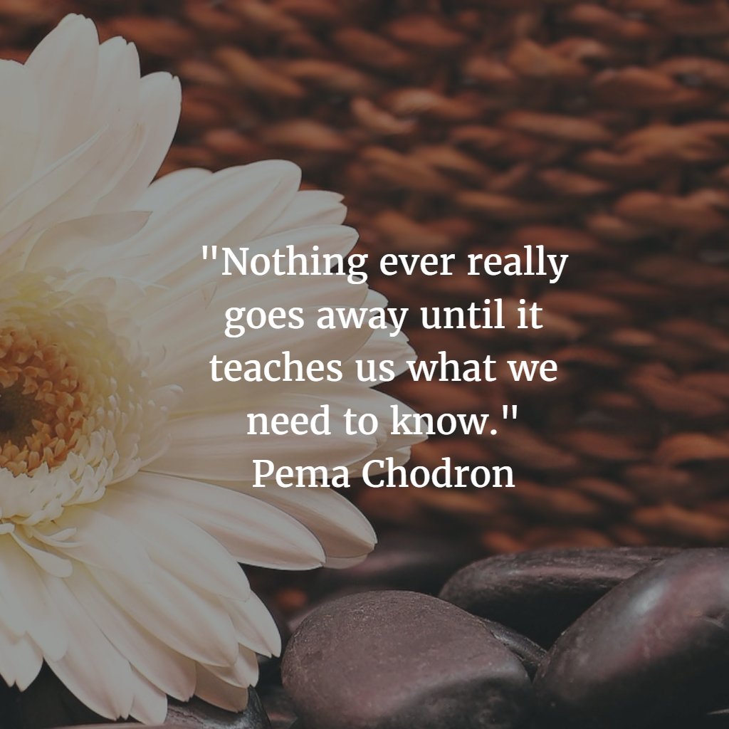 bethanddeb's tweet photo. "Nothing ever really goes away until it teaches us what we need to know."
Pema Chodron https://t.co/iGTseaYjbq