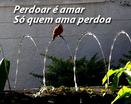 #BetaQuerLab #betaquerlabsextou