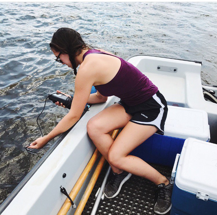 Miscellania tweet media