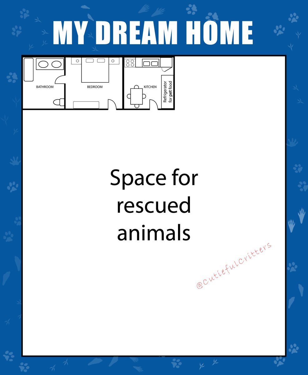 cutieful_c's tweet photo. My Dream Home ❤️
#AdoptDontShop #rescue #loveanimals #dreamhome #MyDreamHome #dreamhouse #animals #bekindtoanimals #bestfloorplan #love https://t.co/GuJoHiekf0