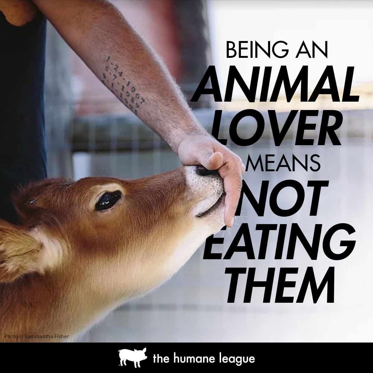 TheHumaneLeague's tweet photo. RT if you agree that being an animal lover means not eating them. https://t.co/m1nYbMmGgH