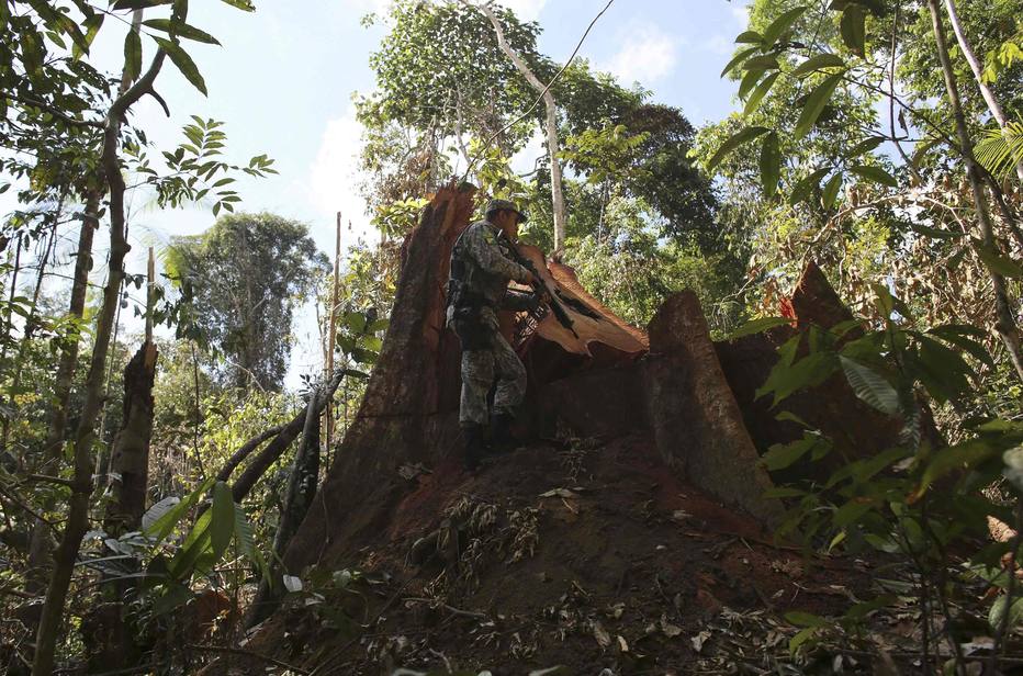 MidiaeAmazonia's tweet photo. #AmazônianaMídia: Sarney Filho rebate ONGs e diz que floresta nacional na Amazônia ‘não deu certo’ https://t.co/QclLwatzzR https://t.co/KuLC5MjPLo