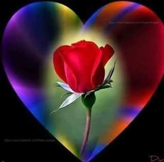 SimoSim24800317's tweet photo. @NagiNa75026225 https://t.co/dfaZpdFl72