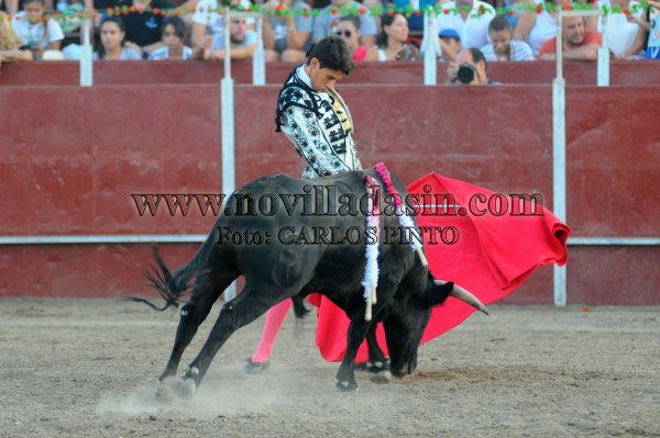 NovilladasSin's tweet photo. FOTOGALERÍA :: Novillada en Quismondo - 16 de Agosto
Por @CARLOSPINMAR 
https://t.co/oRIMG9Zocd https://t.co/ZGtD2ENzA2