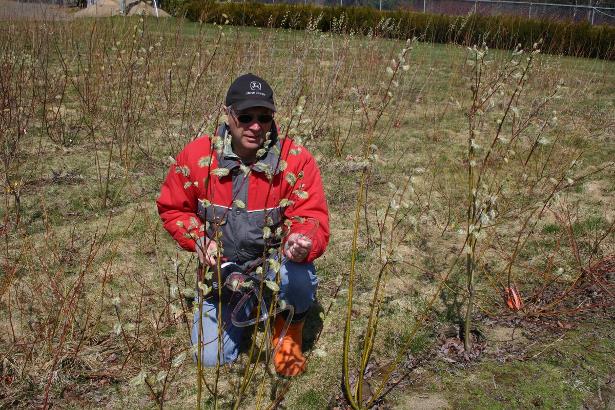 SunburyShores's tweet photo. TMRW 2-4pm #PowerofPollinators talk with Dr. James Whitehead & Dr. Don Ostaff at Sunbury Shores @NatureNB @ganongpark1 @cc_nb @NatureTrustNB https://t.co/uqTrHuzu1I