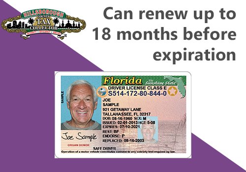 drivers license check fl