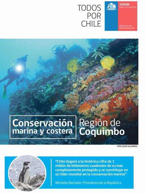 Visualizza l'immagine su Twitter