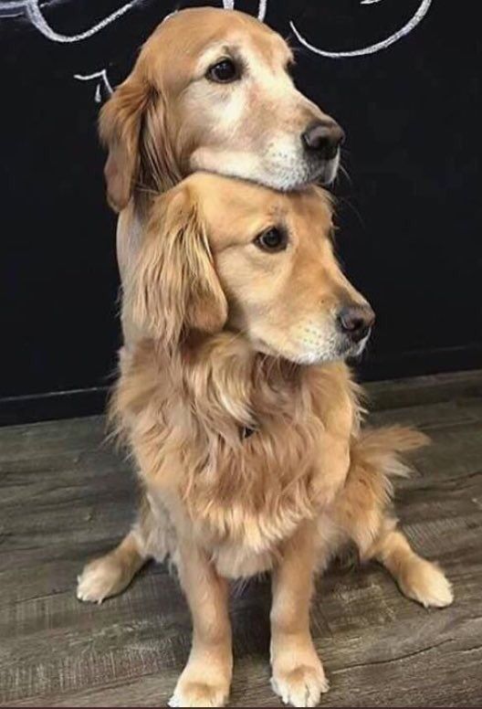 ComedyPosts's tweet photo. open for a surprise https://t.co/MO9AQjpd7K