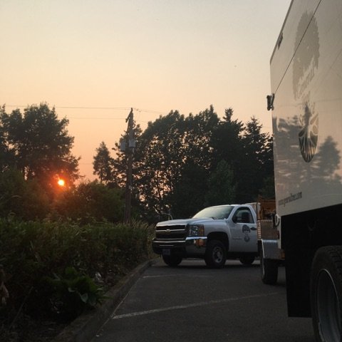 GenTreeService's tweet photo. We're glad all that smoke is done hanging around. https://t.co/ZXbaCqVoQi