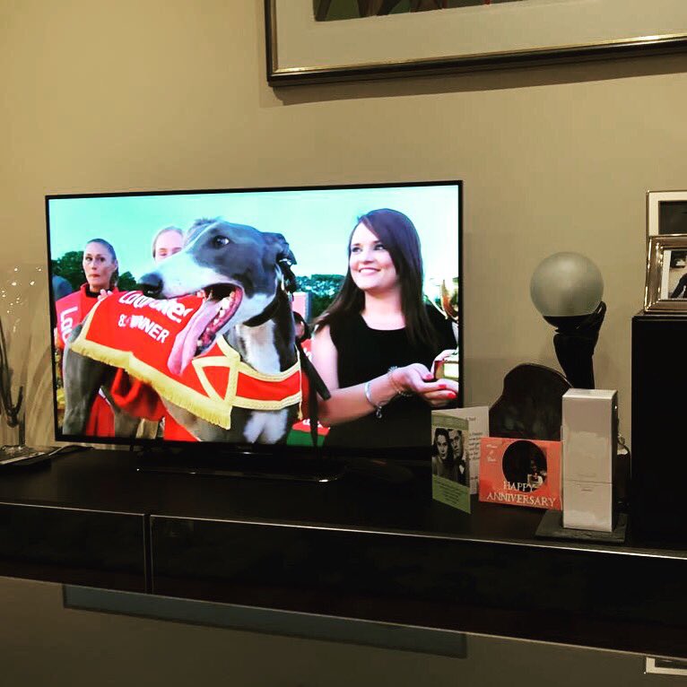 vickylaing's tweet photo. 💃🏼 my TV debut on Sky presenting trophies to fellow dog people https://t.co/YVUIVXrKTQ