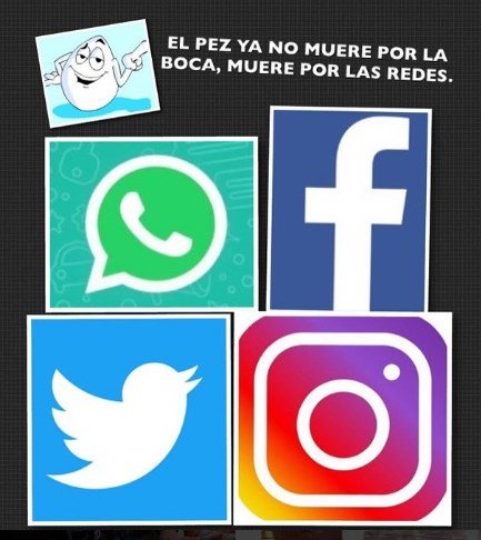 Ƹ̴Ӂ̴Ʒ. HADA  Ƹ̴Ӂ̴Ʒ tweet media