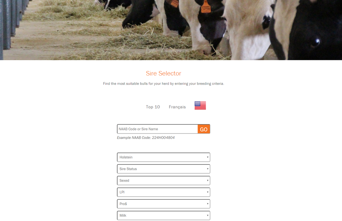 CogentCanada's tweet photo. See our new https://t.co/KXUdhecER9 to find the most suitable bull for your herd by entering your breeding criteria https://t.co/p5ZIfguAb3