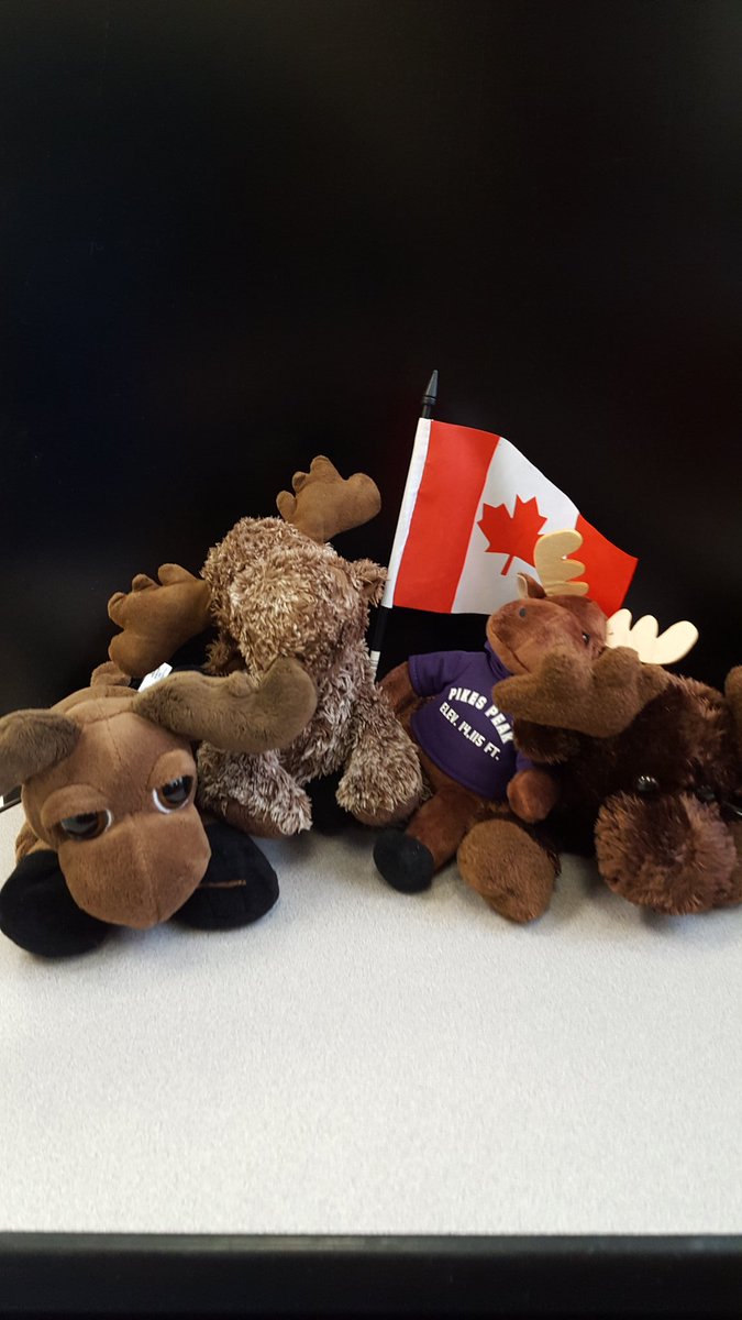 #kidnapCanada <a href="/LAERomer/">Leigh Anne Romer</a>