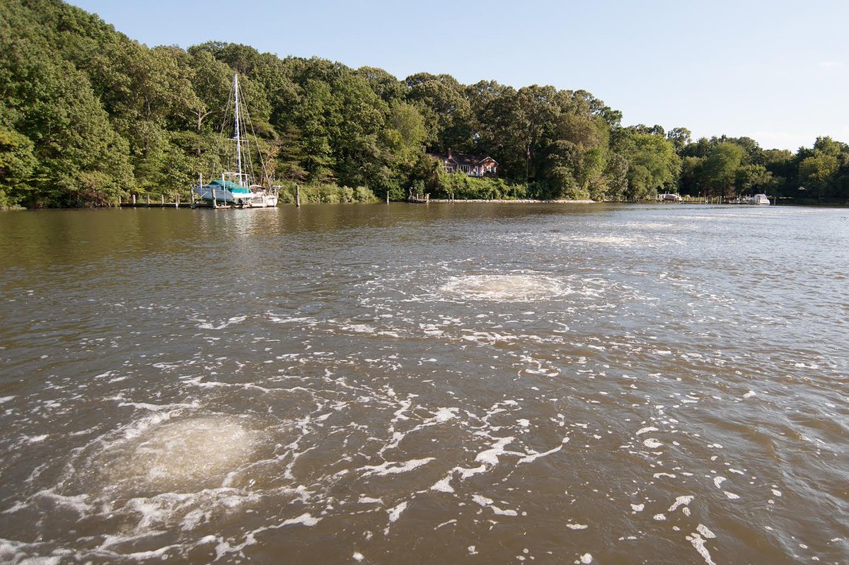 RestoreRC's tweet photo. The aerators will be off from Friday afternoon through Tuesday morning on Rock Creek.  #Rock Creek. https://t.co/nKYOrBX0yv https://t.co/D0CfEeB5Io