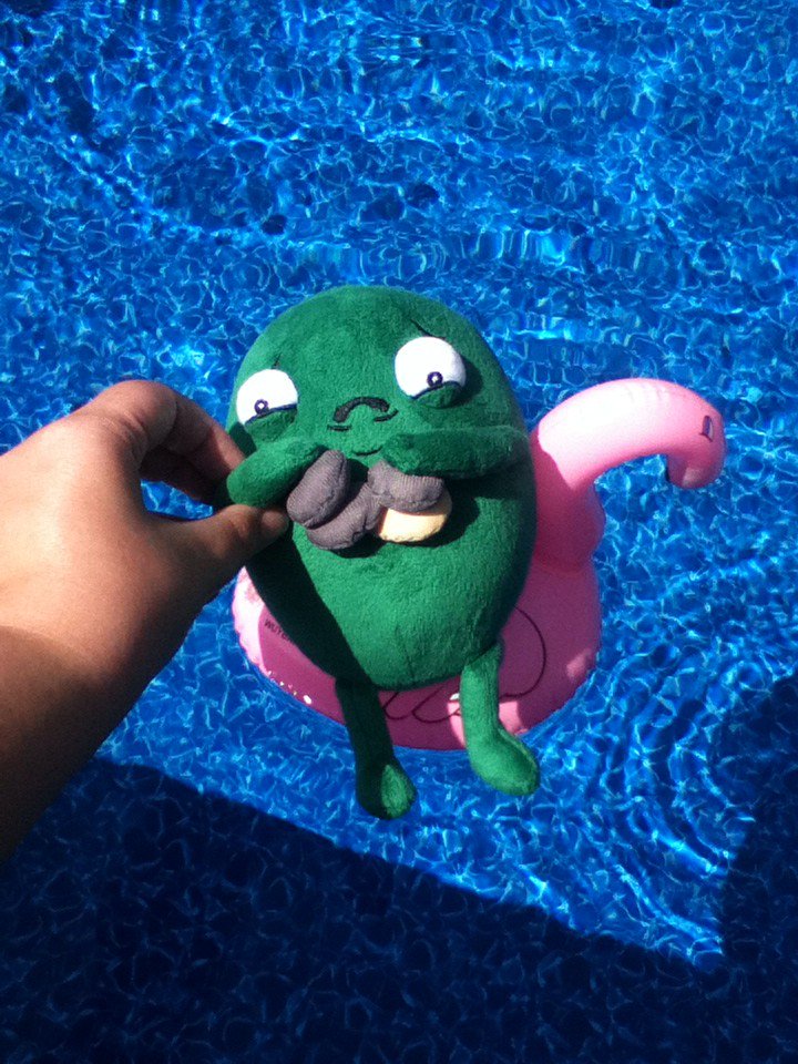 LydiaEWinters's tweet photo. #awkwardsummer @theawkwardyeti https://t.co/JQThiTLC74