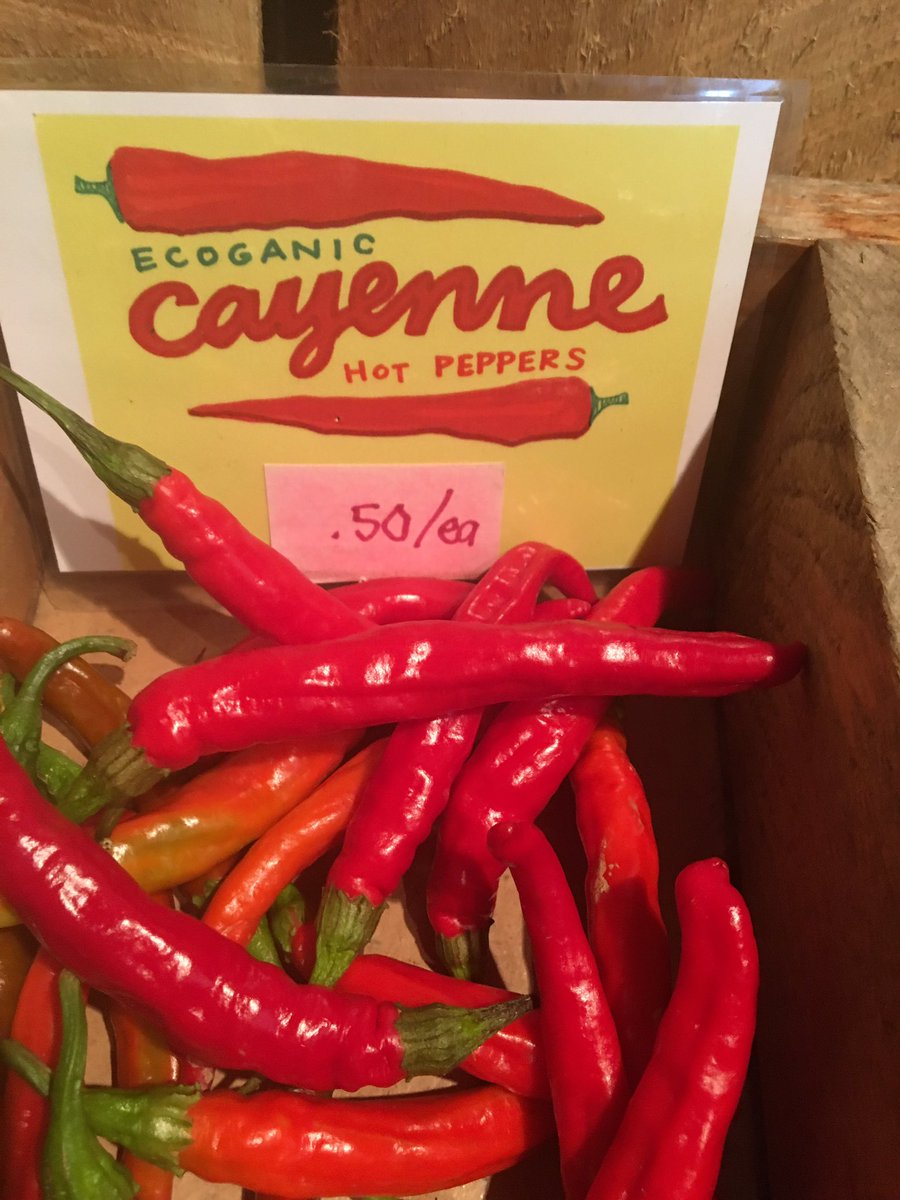 PotomacVegFarms's tweet photo. MOAR peppers! Peppers for your peppers! #eatlocal #ecoganic https://t.co/yN0yL1XjV6