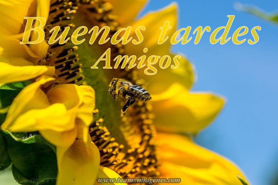 imagenesdebuenastardes hashtag on Twitter