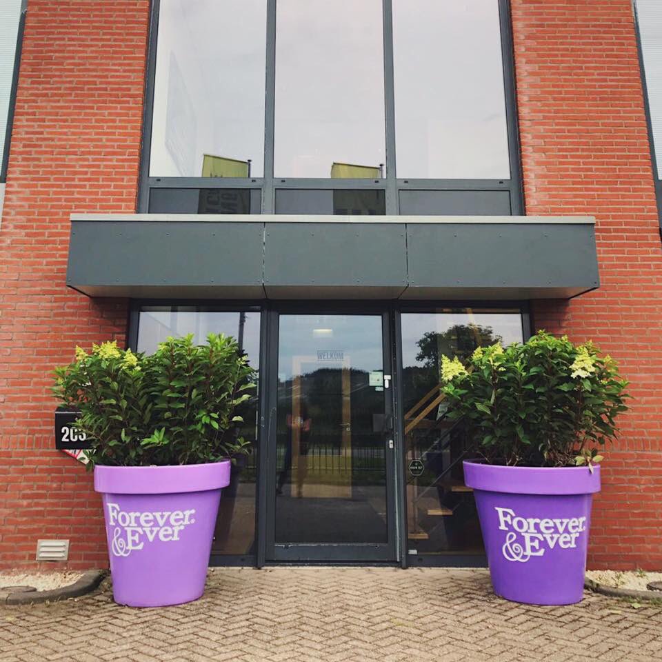 Vandaag twee prachtige potten met hierin de Forever&amp;Ever pluimhortensia  XXL geplaatst voor ons kantoorpand. Wat een plaatje!