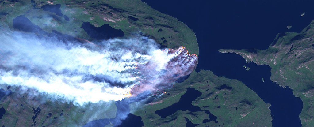 CopernicusEU's tweet photo. @jmccarty_geo @CopernicusEMS @CopernicusECMWF Thanks Jessica We love this thread which demonstrates, as in "the proof of the pudding is in the eating", the intrinsic value of #openEOdata https://t.co/jM1n81EX2K
