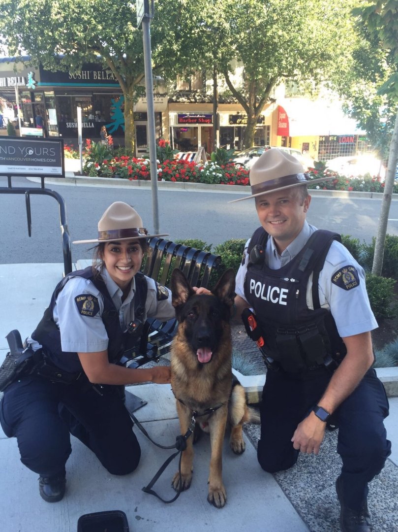 Cst. Bassi and Cst. Weeks making a new friend during their foot patrol on Lonsdale Ave. Future police dog? https://t.co/t2GhVBgTxY