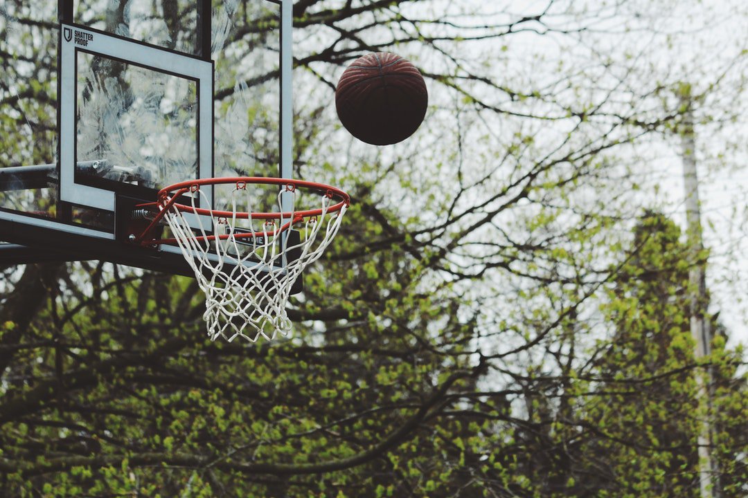Clubeo_ES's tweet photo. Photo By Noah Silliman | Unsplash https://t.co/ctXUR5X52B
