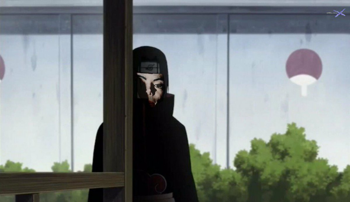 sopa de gat amb galets tweet media