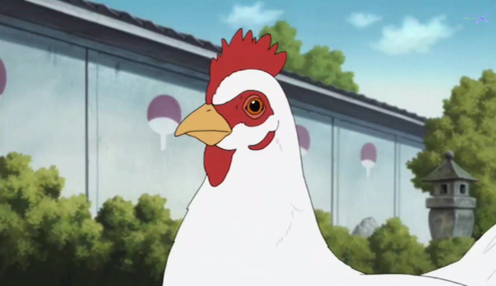 sopa de gat amb galets tweet media