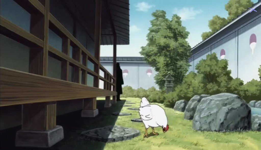 sopa de gat amb galets tweet media