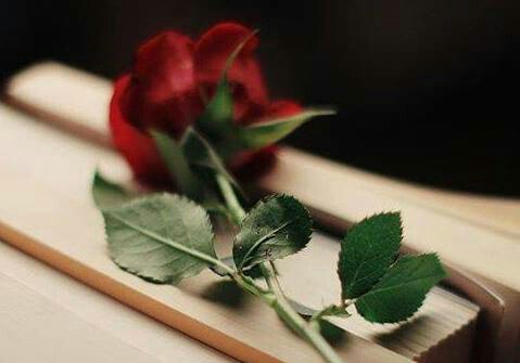 h__h40's tweet photo. أجمل ما في الليل .. قلوب صادقة تدعو لبعضها بالخير سرّاً¤
أترك دعوة لغيرك⚘
#قروب_سمي_للدعم 
#بدر_البدر_للدعم https://t.co/q6PA3GMqPc