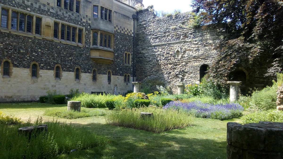 My garden in Summer

.
