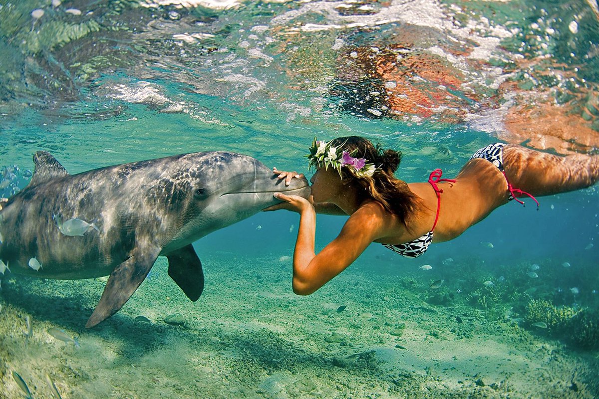 westonvolvo's tweet image. Underwater friendship.