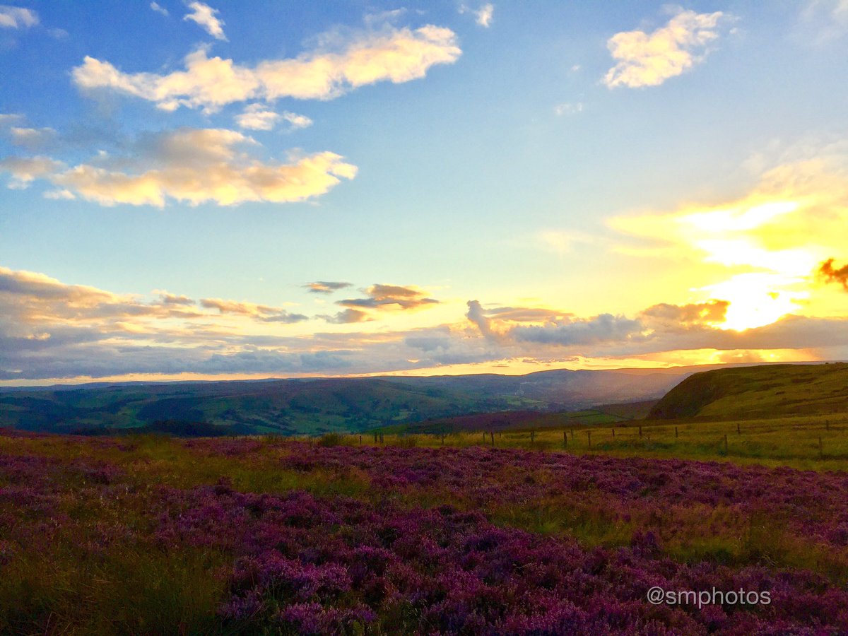 S_MPhotos's tweet photo. @sgp2012photos #higgator #canon #sunset https://t.co/uYHvzJwQQm