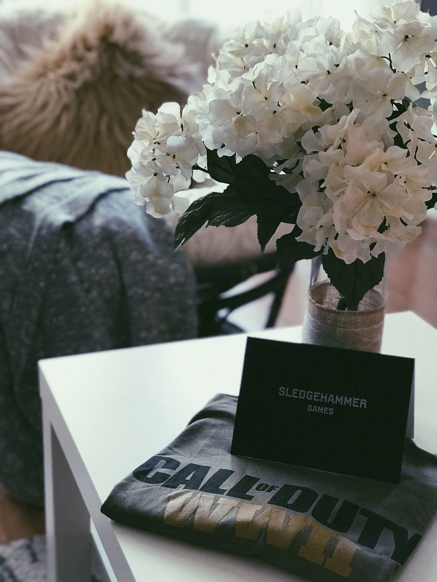 MsGabagool_'s tweet photo. Thank you @SHGames for the T-shirt! Beta in one week. 💚 #CODWWII #HammerWeek. https://t.co/8hSv9RSMQ8